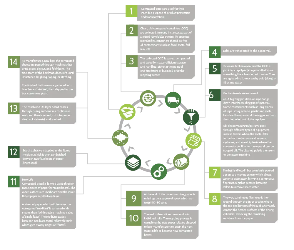 The Corrugated Cardboard Recycling Process